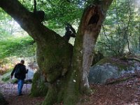 2016-10-09 Les gorges d Apremont 0048